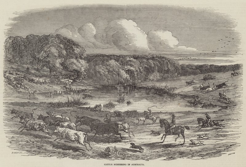 Cattle Mustering in Australia by Harrison William Weir