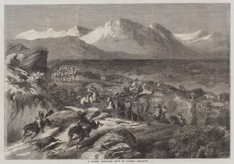 A Recent Wild-Boar Hunt in Algeria by Harrison William Weir