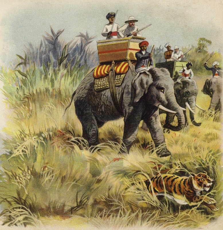 The Prince of Wales Tiger Hunting in India by Henry Payne