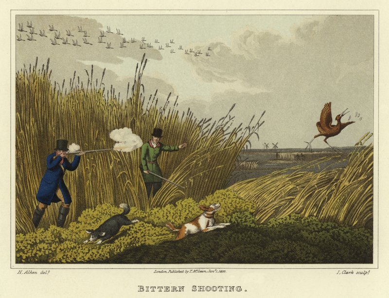 Bittern Shooting by Henry Thomas Alken
