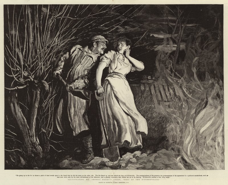 Tess of the D