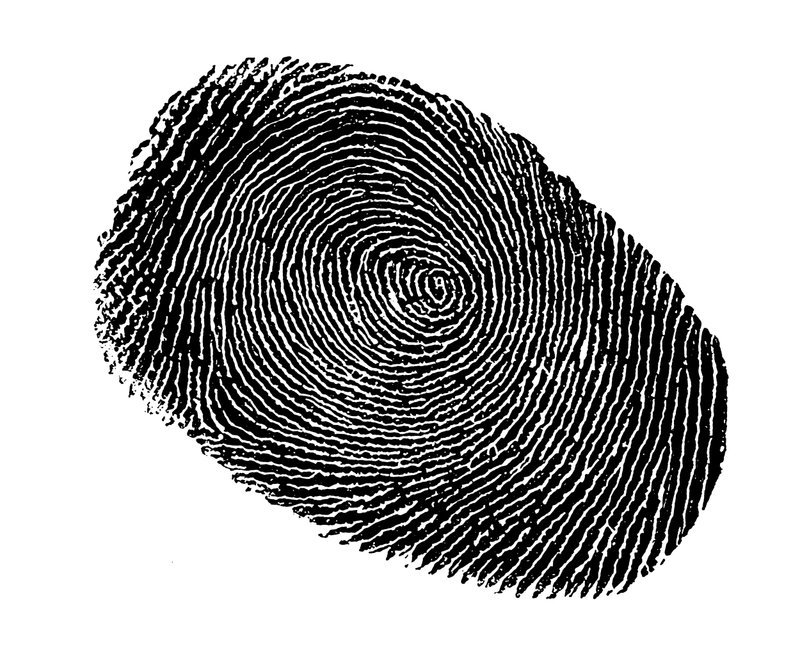 Fingerprint by Hugh Rowley