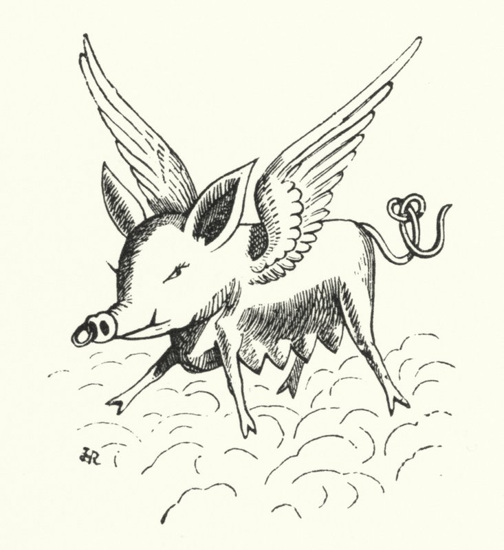 Flying pig by Hugh Rowley
