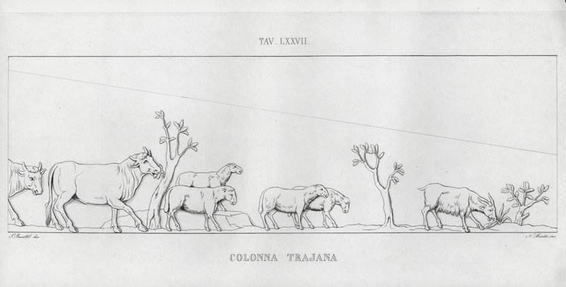 Trajan’s Column by Italian School