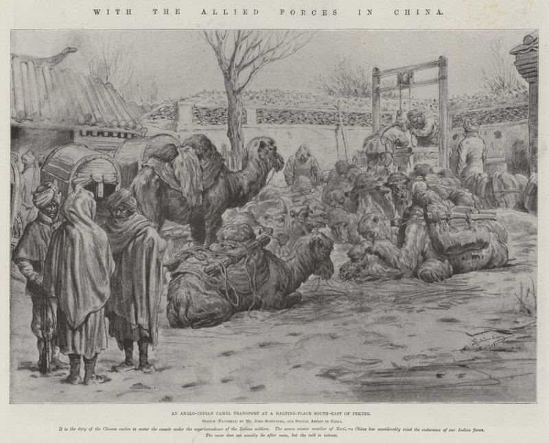 With the Allied Forces in China by Johann Nepomuk Schonberg