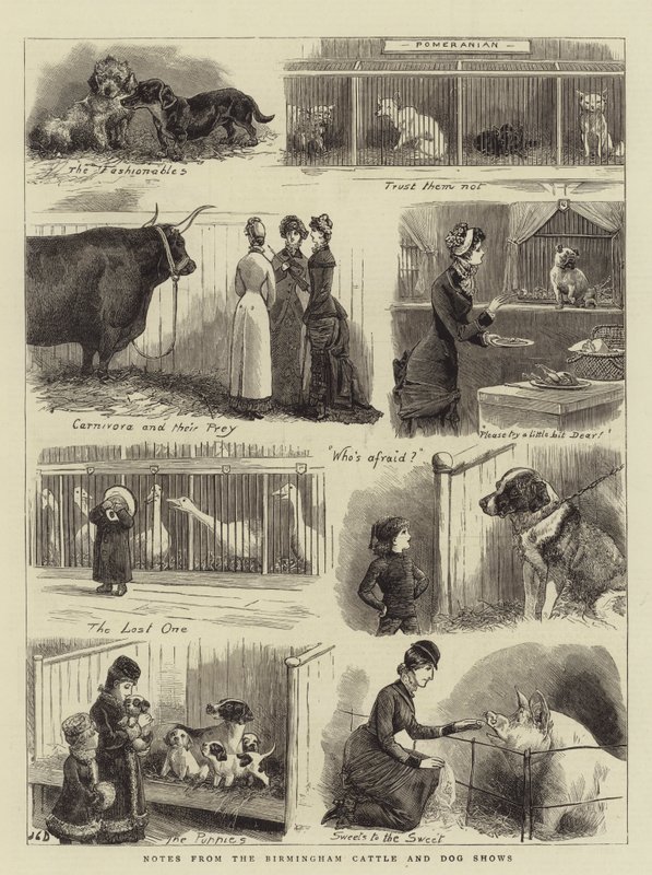 Notes from the Birmingham Cattle and Dog Shows by John Charles Dollman