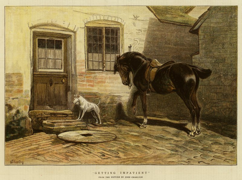 Getting Impatient by John Charlton