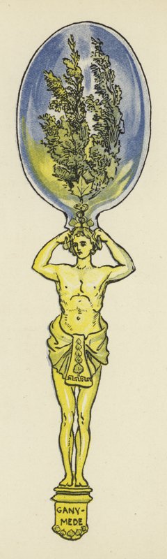 Ganymede and the Myth of the Poplar Tree by John Shenton Eland