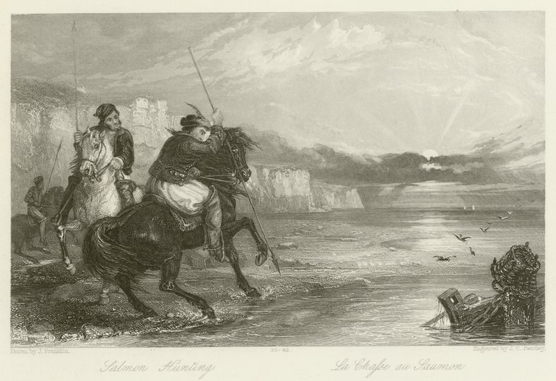 Salmon Hunting by John Franklin