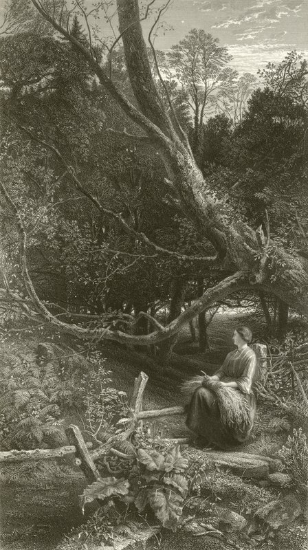 Twilight in the Wood by John Samuel Raven