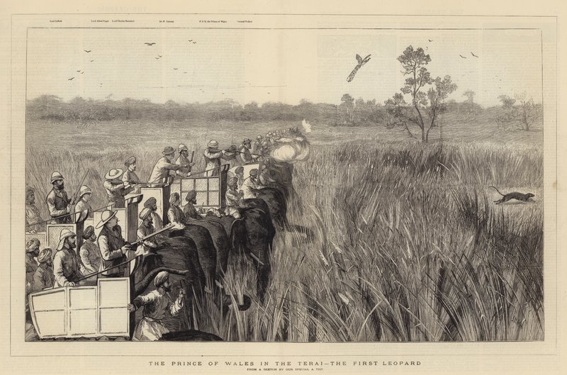 The Prince of Wales in the Terai, the First Leopard by Joseph Nash