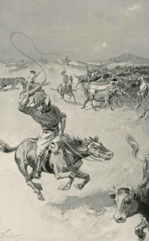 Cattle-Mustering in Queensland by Joseph Finnemore