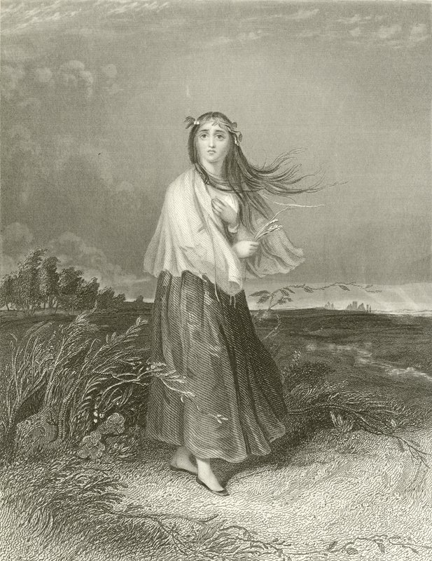 Kate is crazed by Joseph John Jenkins