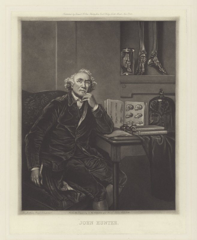 John Hunter, Scottish Surgeon by Joshua Reynolds