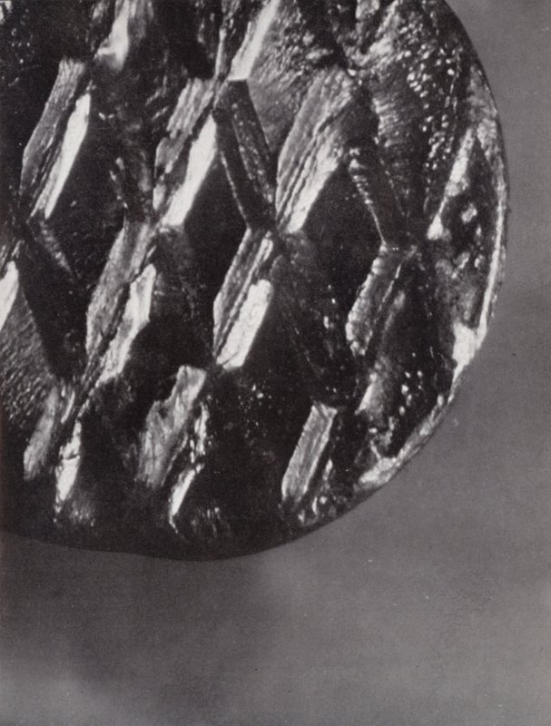 Head of a Nail by Paul Henning