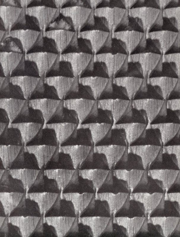 Surface of a shoemaker