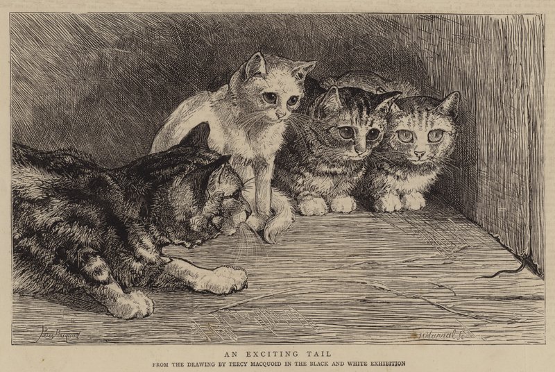 An Exciting Tale by Percy Macquoid