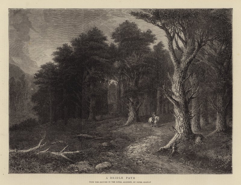 A Bridle Path by Peter Graham