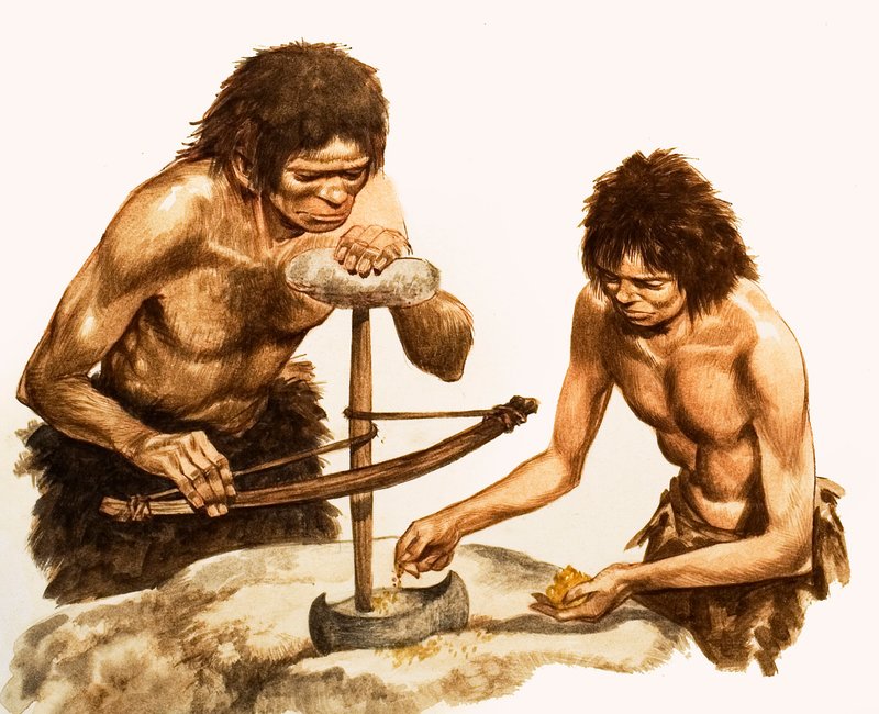 Stone Age Toolmakers by Peter Jackson