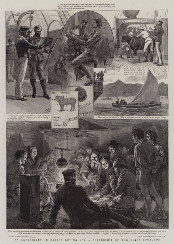 An Experiment in Cattle Buying for a Battleship of the China Squadron by Robert Barnes