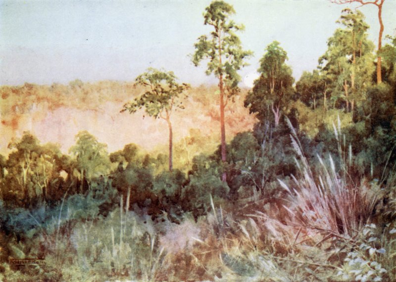 Jungle on the Lashio Line by Robert George Talbot Kelly