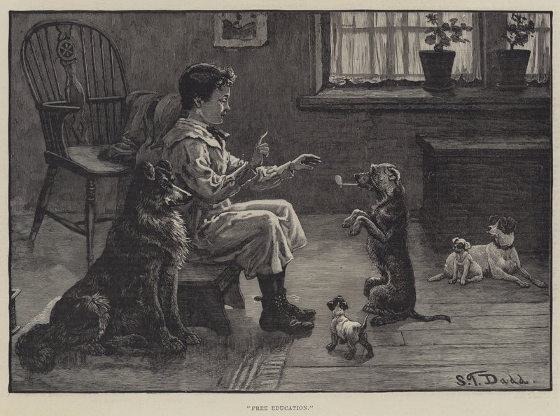 Free Education by S.T. Dadd