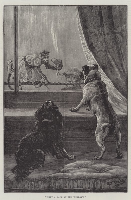 Only a Face at the Window by S.T. Dadd