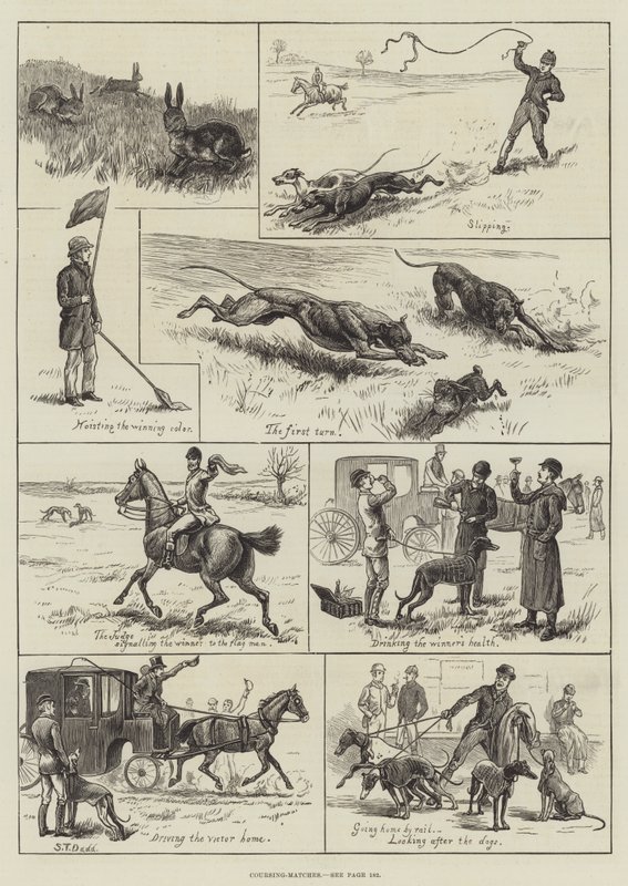Coursing-Matches by S.T. (after) Dadd