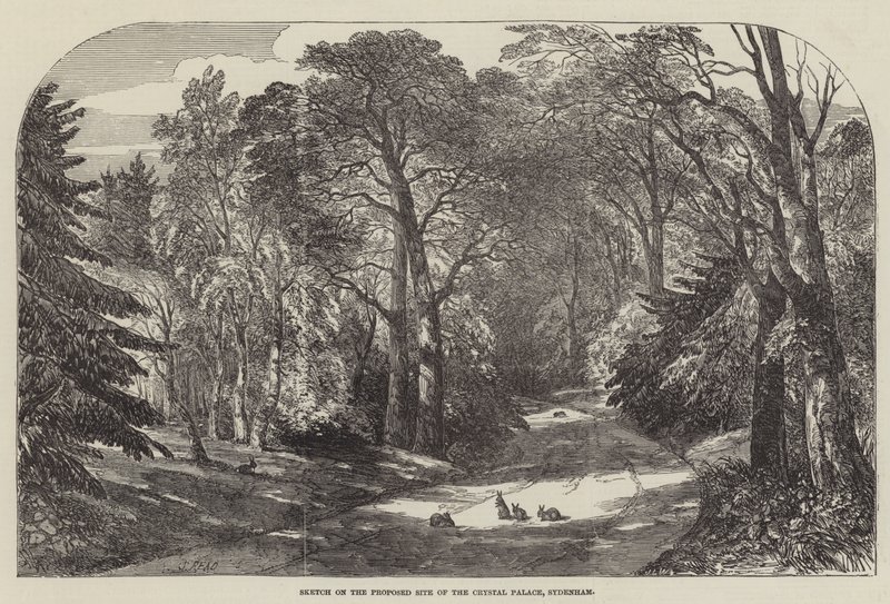 Sketch on the Proposed Site of the Crystal Palace, Sydenham by Samuel Read
