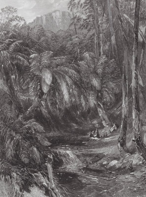 Australia: A Fern Tree Valley by Samuel (after) Prout