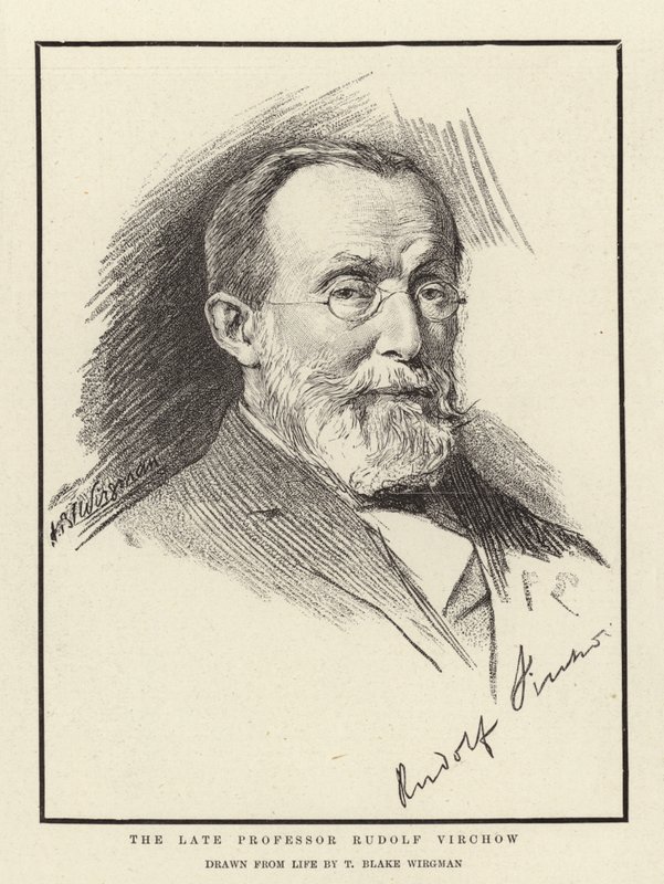 The Late Professor Rudolf Virchow by Theodore Blake Wirgman