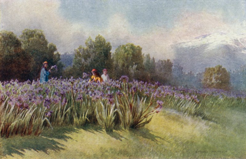 Spring in Kashmir by Unbekannt Unbekannt