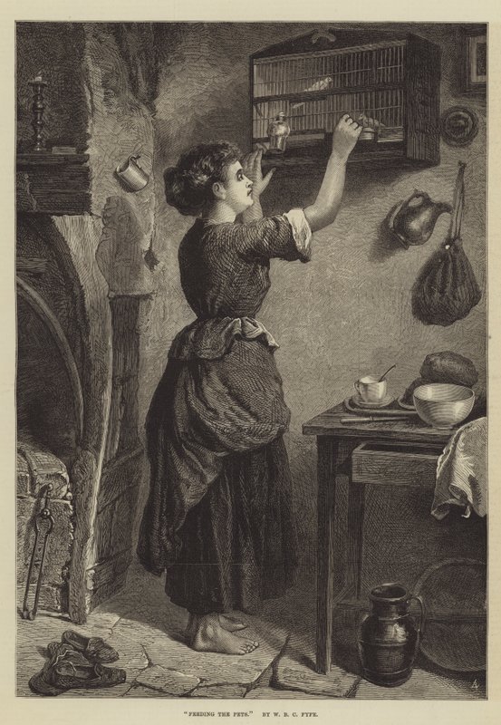 Feeding the Pets by W. Fyfe