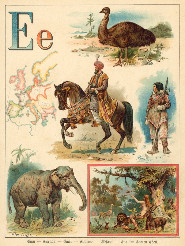 Letter E by Walter Zweigle