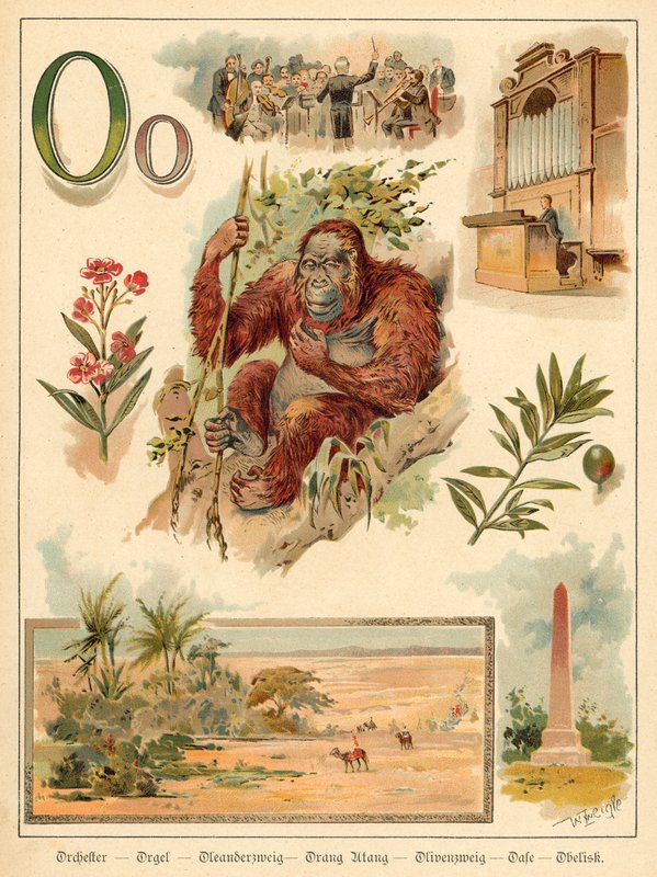 Letter O by Walter Zweigle