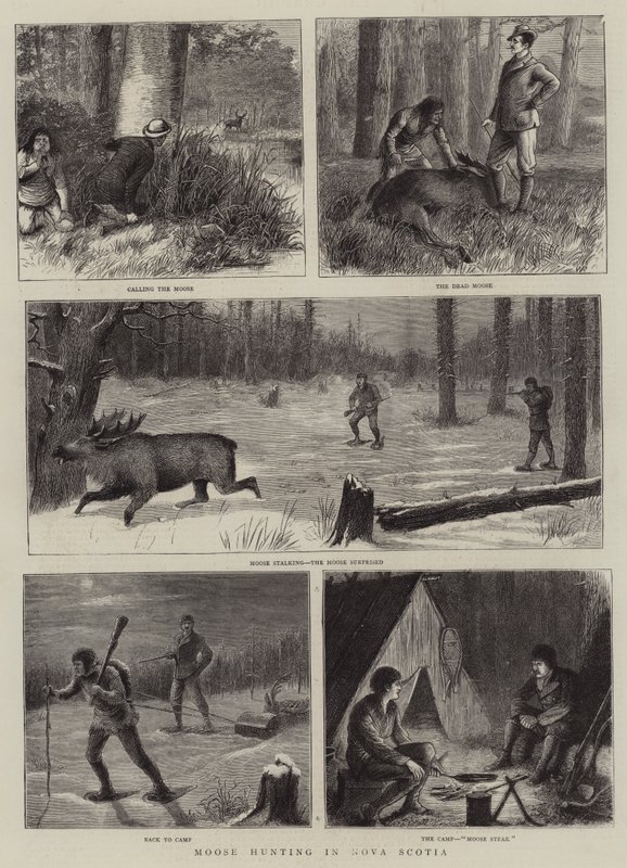 Moose Hunting in Nova Scotia by William Ralston