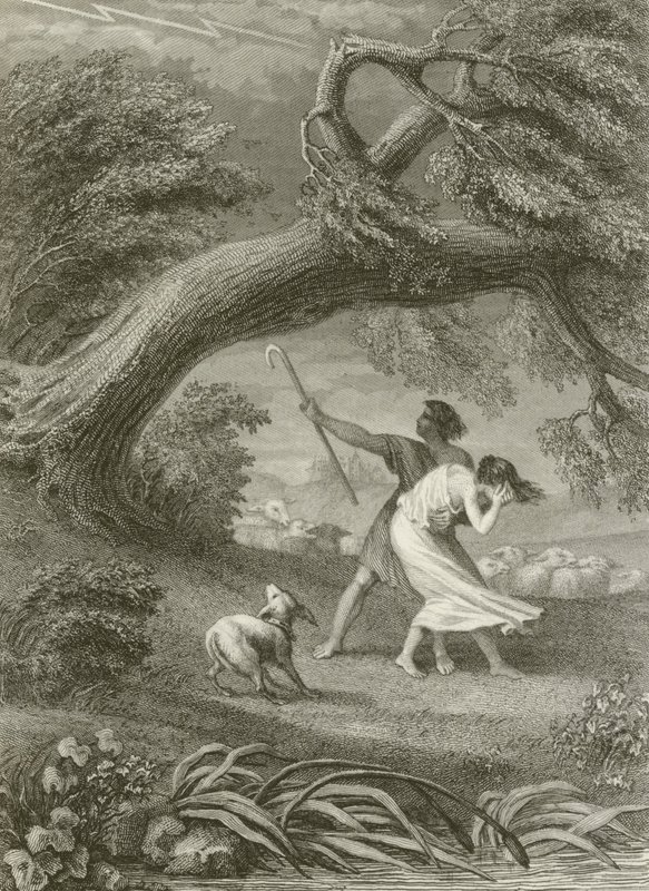 The Oak and the Reed by after Tony Johannot